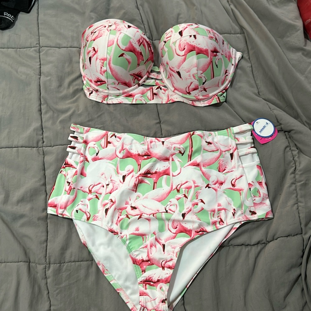 COPY - Swimsuits for All- GabiFresh SwimSexy Plus Size Flamingo 2-piece bathing…